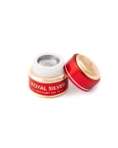 Multiart gel 13 Royal Silver 5g