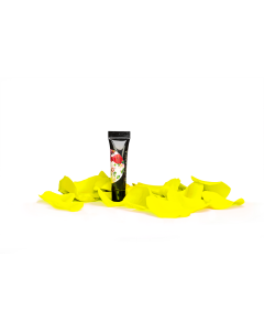 Arter Painting Gels Neon Yellow Paint 3 g